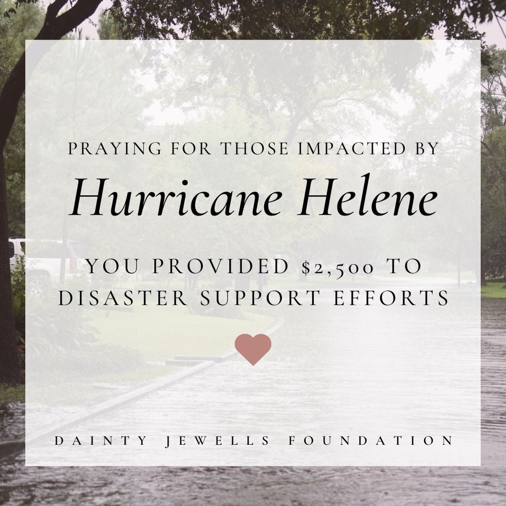 Support for Victims of Hurricane Helene